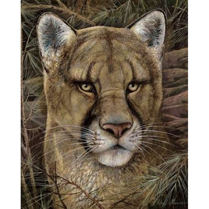 Elusive Encounter Poster Print by Ruane Manning-VARPDX6463 Image 1