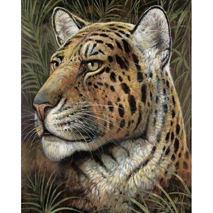 Spotted Beauty Poster Print by Ruane Manning-VARPDX6464 Image 1