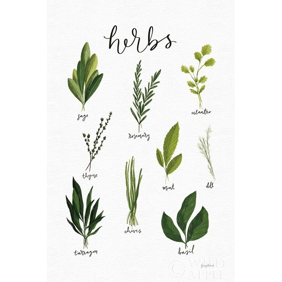 Herbs I White Poster Print by Becky Thorns-VARPDX64689 Image 1