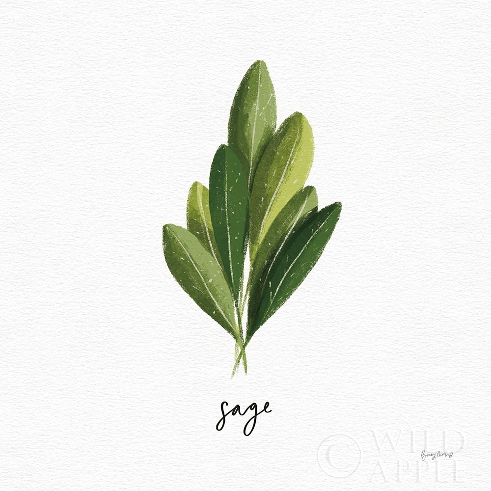 Herbs II White Poster Print by Becky Thorns-VARPDX64690 Image 1