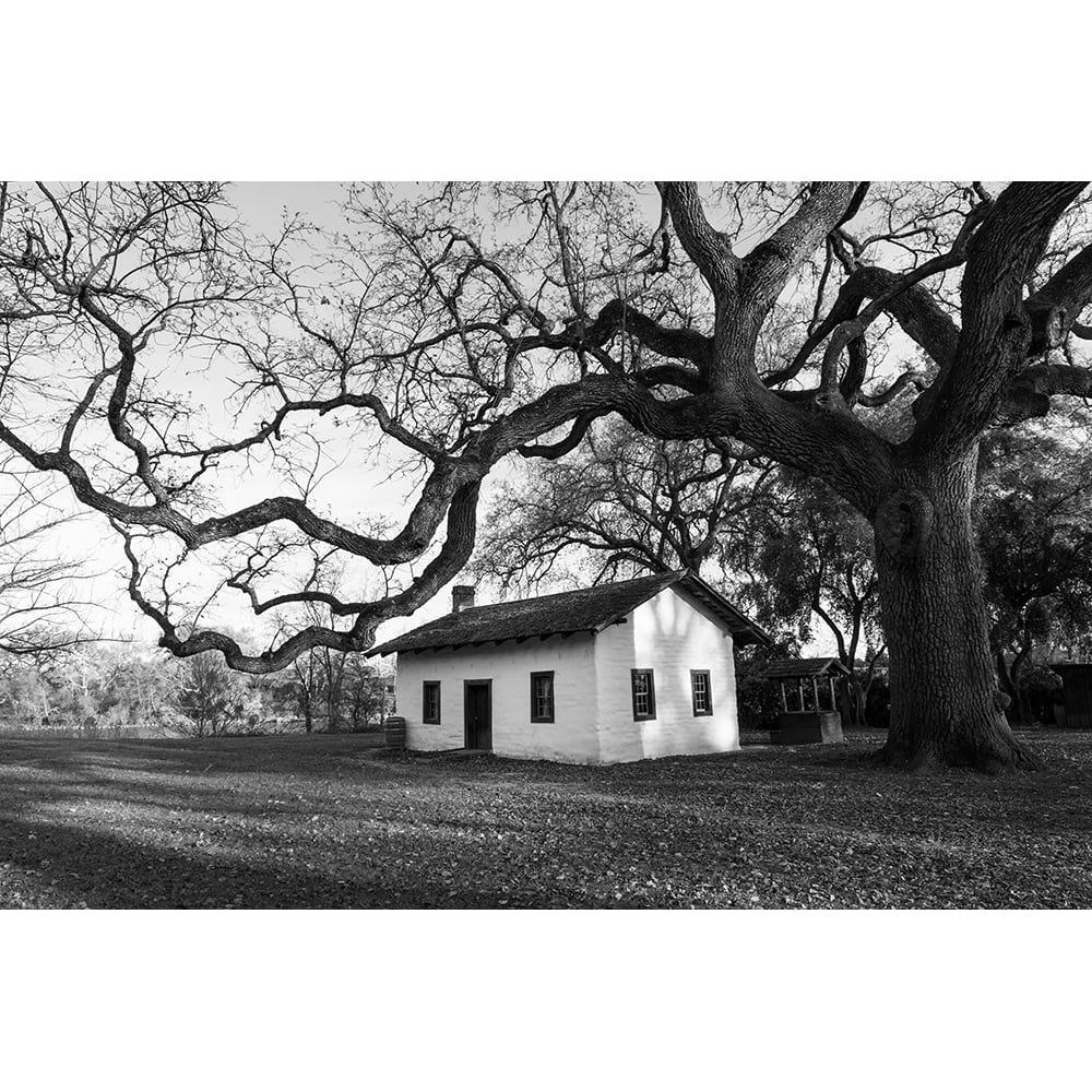 William B. Ide Adobe State Historic Park in Red Bluff-California Poster Print - Carol Highsmith-VARPDX64737 Image 1