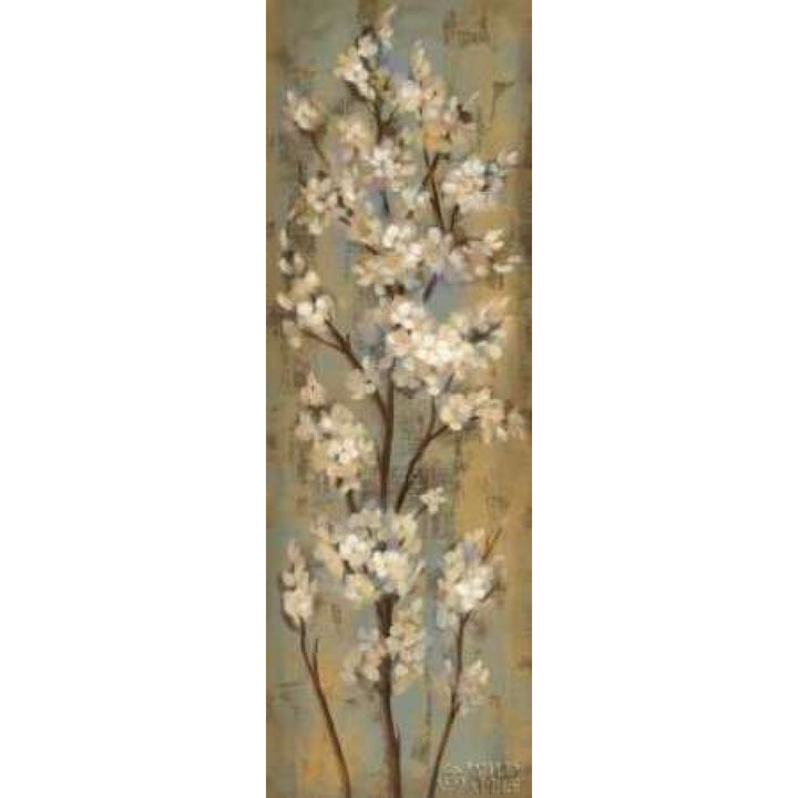 Almond Branch II Poster Print by Silvia Vassileva-VARPDX6474 Image 2