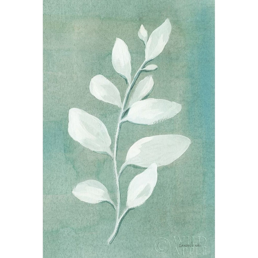 Sage Leaves I Poster Print by Danhui Nai-VARPDX64840 Image 1