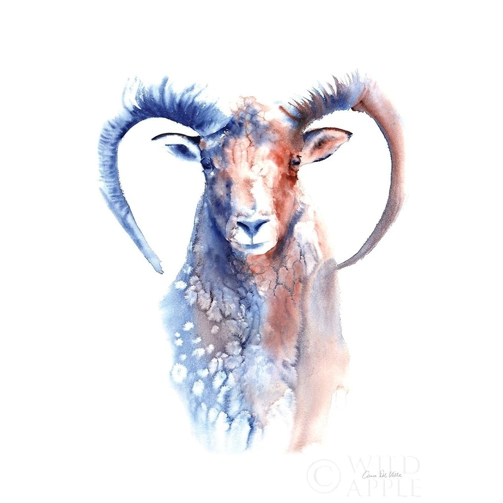 Copper and Blue Ram Poster Print by Aimee Del Valle-VARPDX64963 Image 1