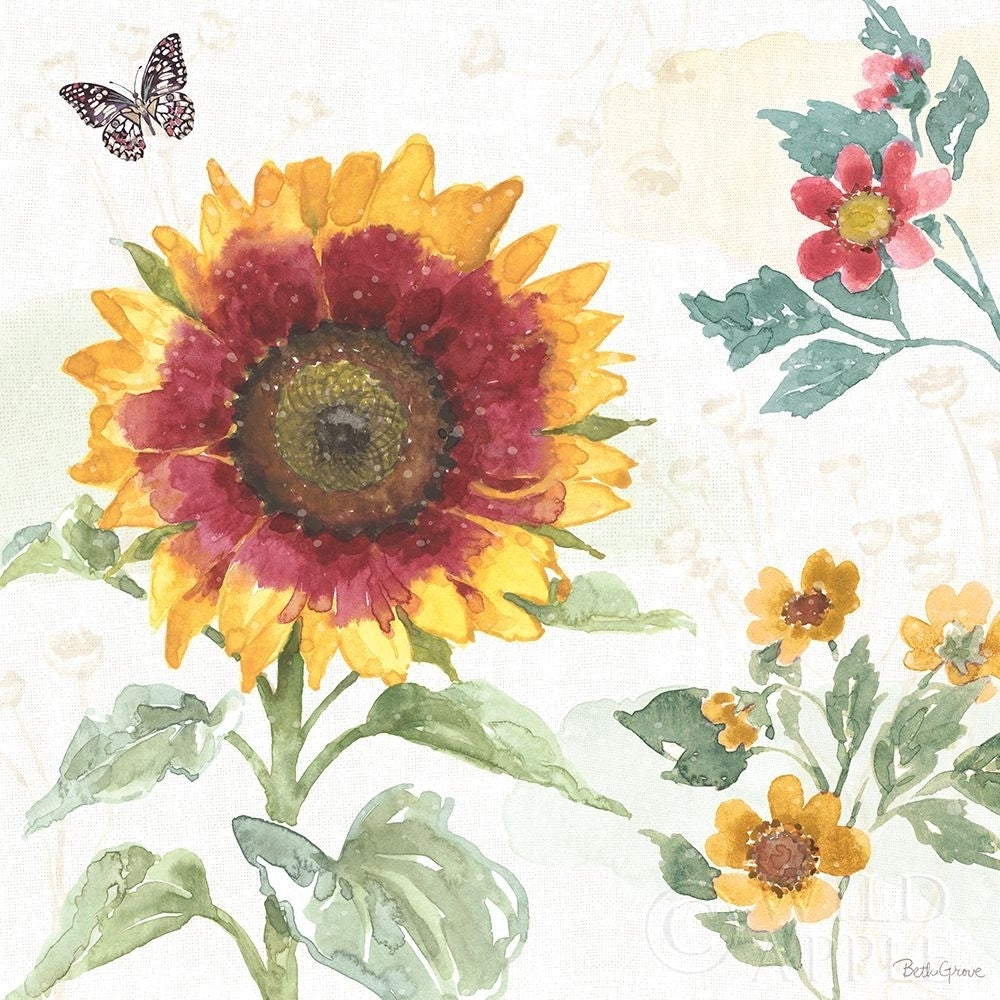 Sunflower Splendor VII Poster Print by Beth Grove-VARPDX65345 Image 1