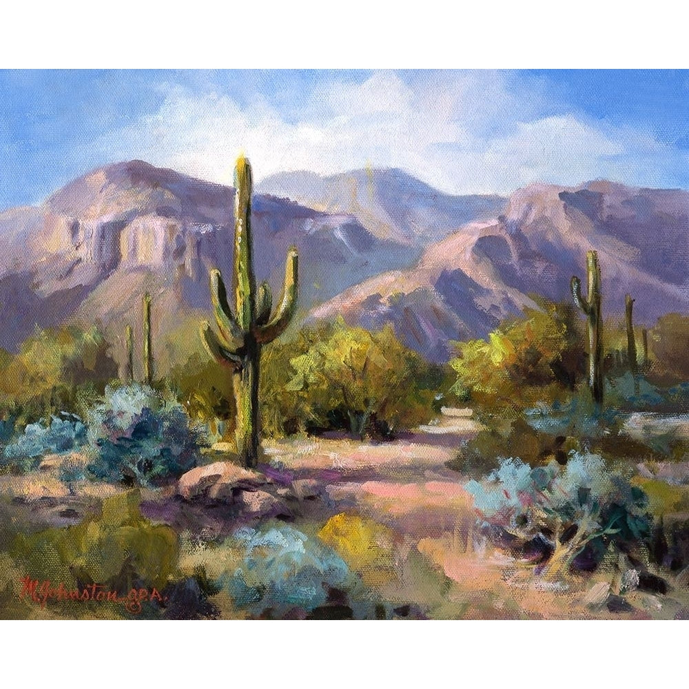 Catalina Mountain Foothills Poster Print - Maxine Johnston-VARPDX65360Z Image 1