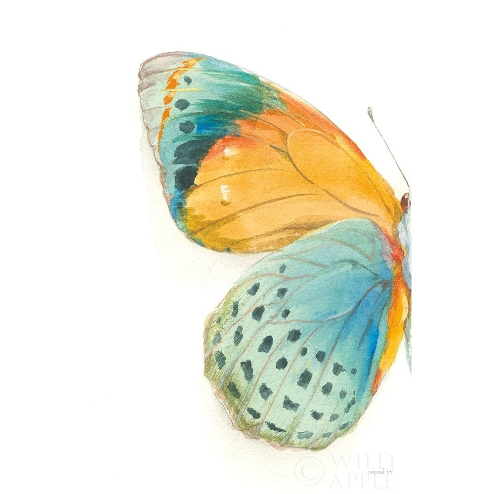 Fragile Wings I Poster Print by Danhui Nai-VARPDX65685 Image 1