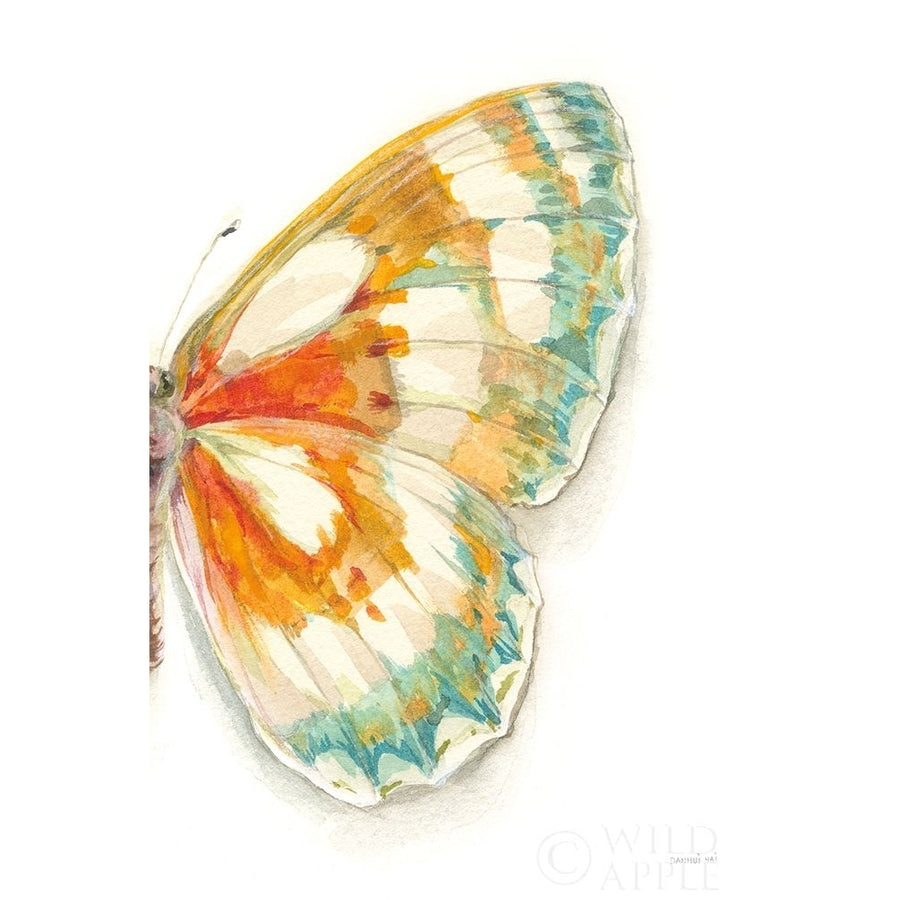 Fragile Wings IV Poster Print by Danhui Nai-VARPDX65688 Image 1