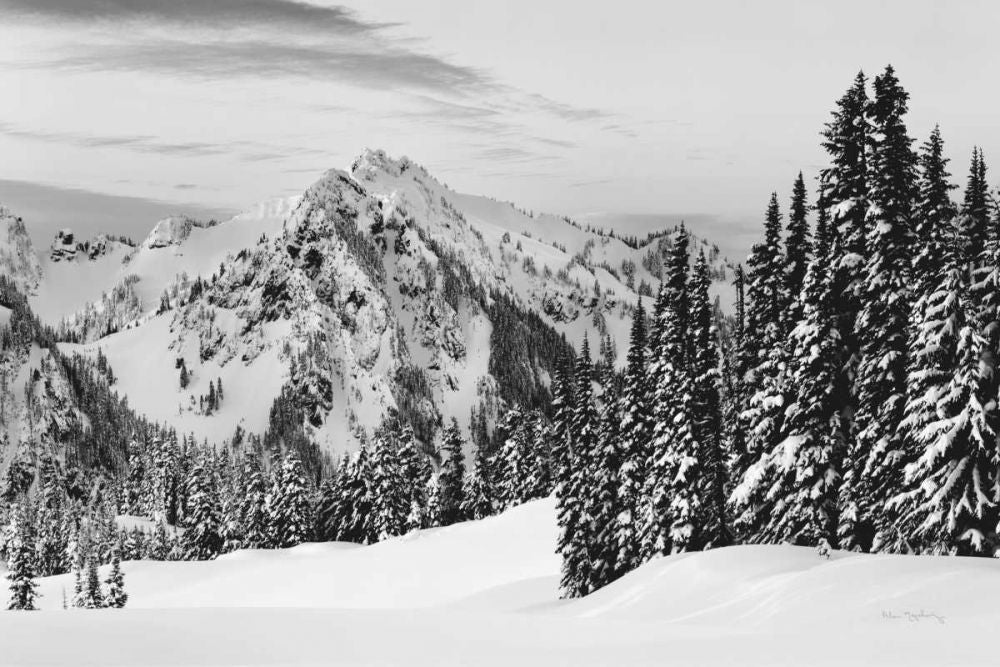 Tatoosh Range BW by Alan Majchrowicz-VARPDX65706 Image 1