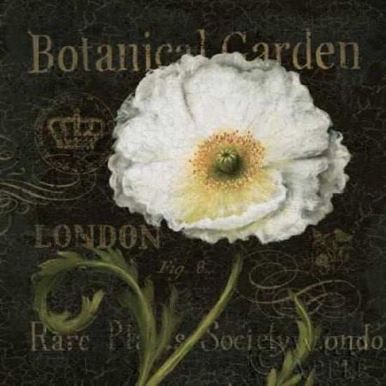 Botanical Garden II Poster Print by Daphne Brissonnet-VARPDX6571 Image 1