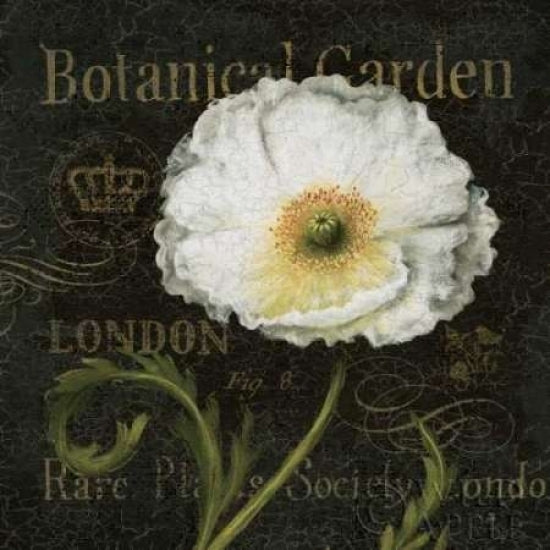 Botanical Garden II Poster Print by Daphne Brissonnet-VARPDX6571 Image 2