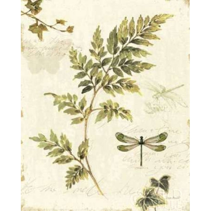 Ivies and Ferns III Poster Print by Lisa Audit-VARPDX6596 Image 2