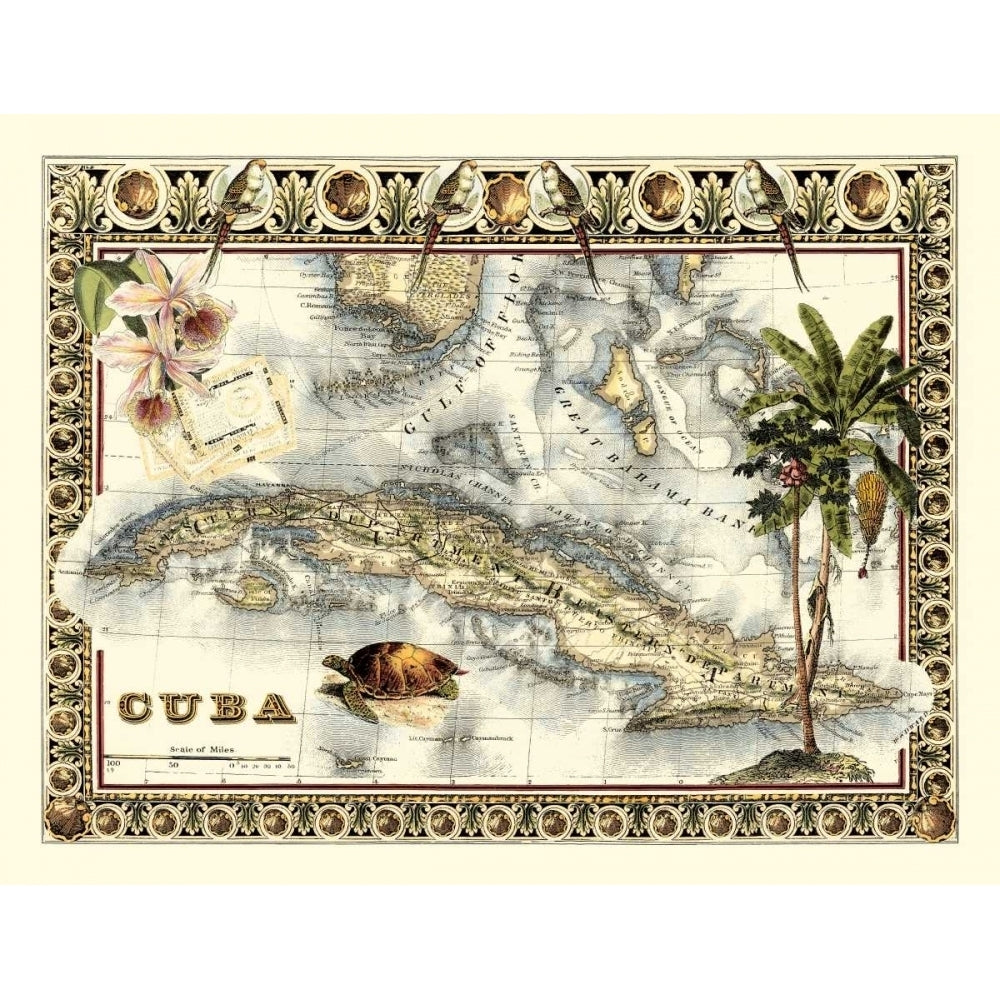 Tropical Map of Cuba Poster Print - Studio Vision-VARPDX6600Z Image 1