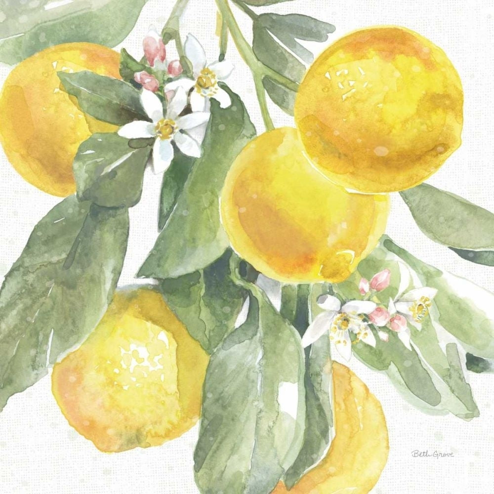 Citrus Charm Lemons II by Beth Grove-VARPDX66093 Image 1