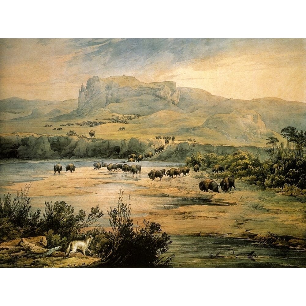 Landscape with buffalo on the upper Missouri Poster Print - Karl Bodmer-VARPDX66291 Image 1