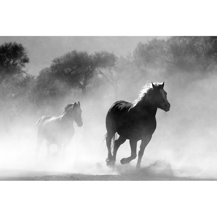 Free Runners Poster Print - The Yellowstone Collection-VARPDX66410 Image 1