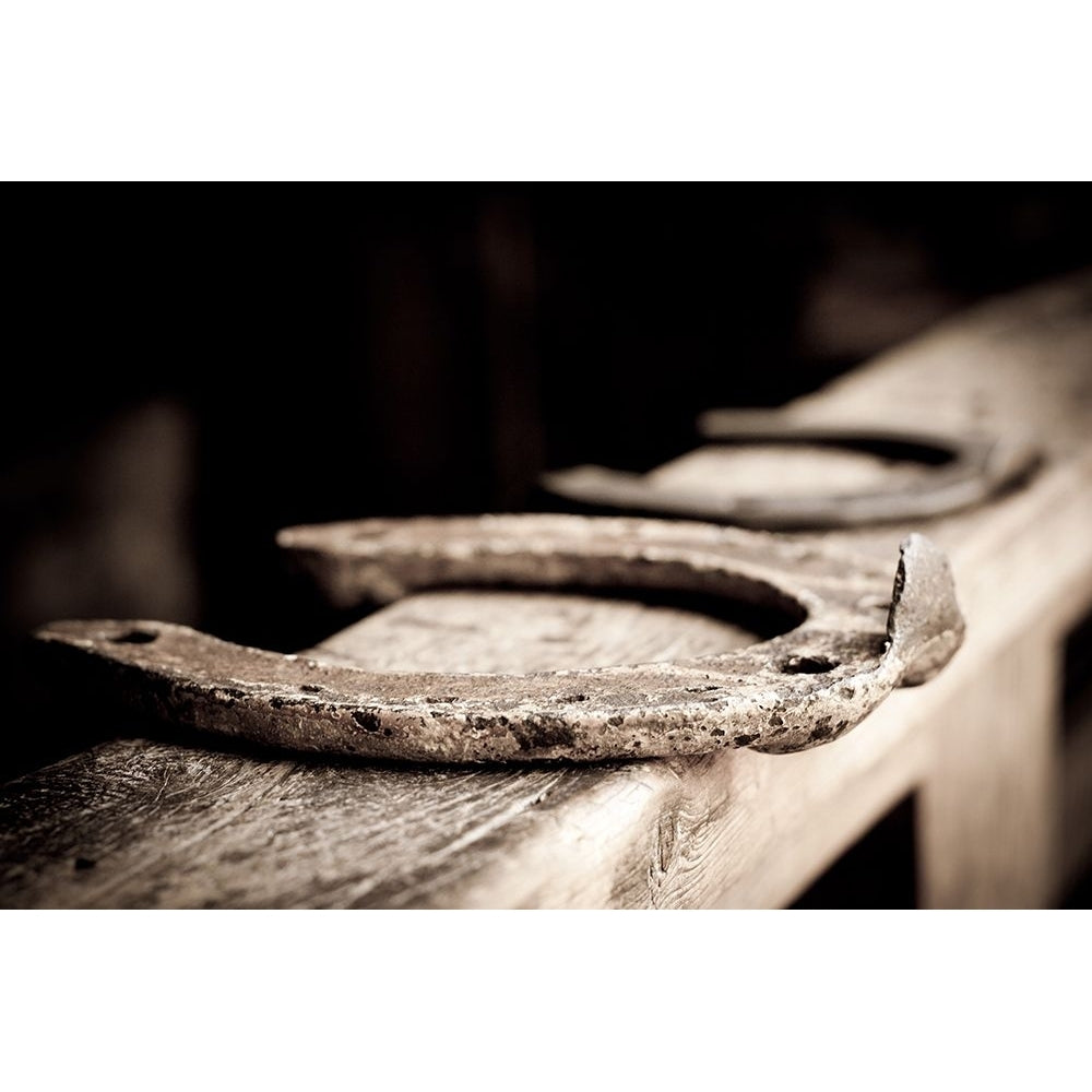 Horseshoes Sepia Poster Print - The Yellowstone Collection-VARPDX66433 Image 1