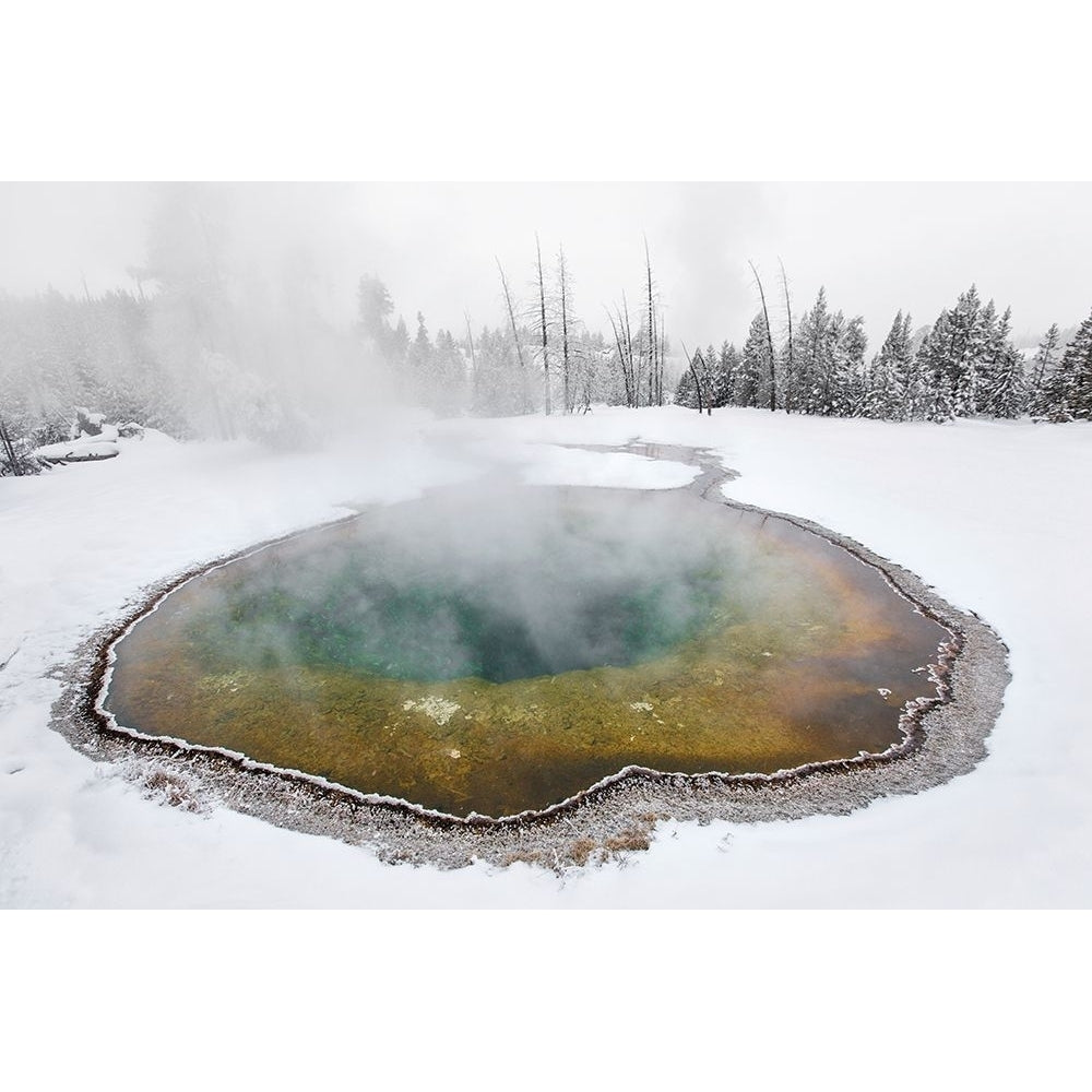 Morning Glory Pool Yellowstone National Park Poster Print - The Yellowstone Collection-VARPDX66796 Image 1