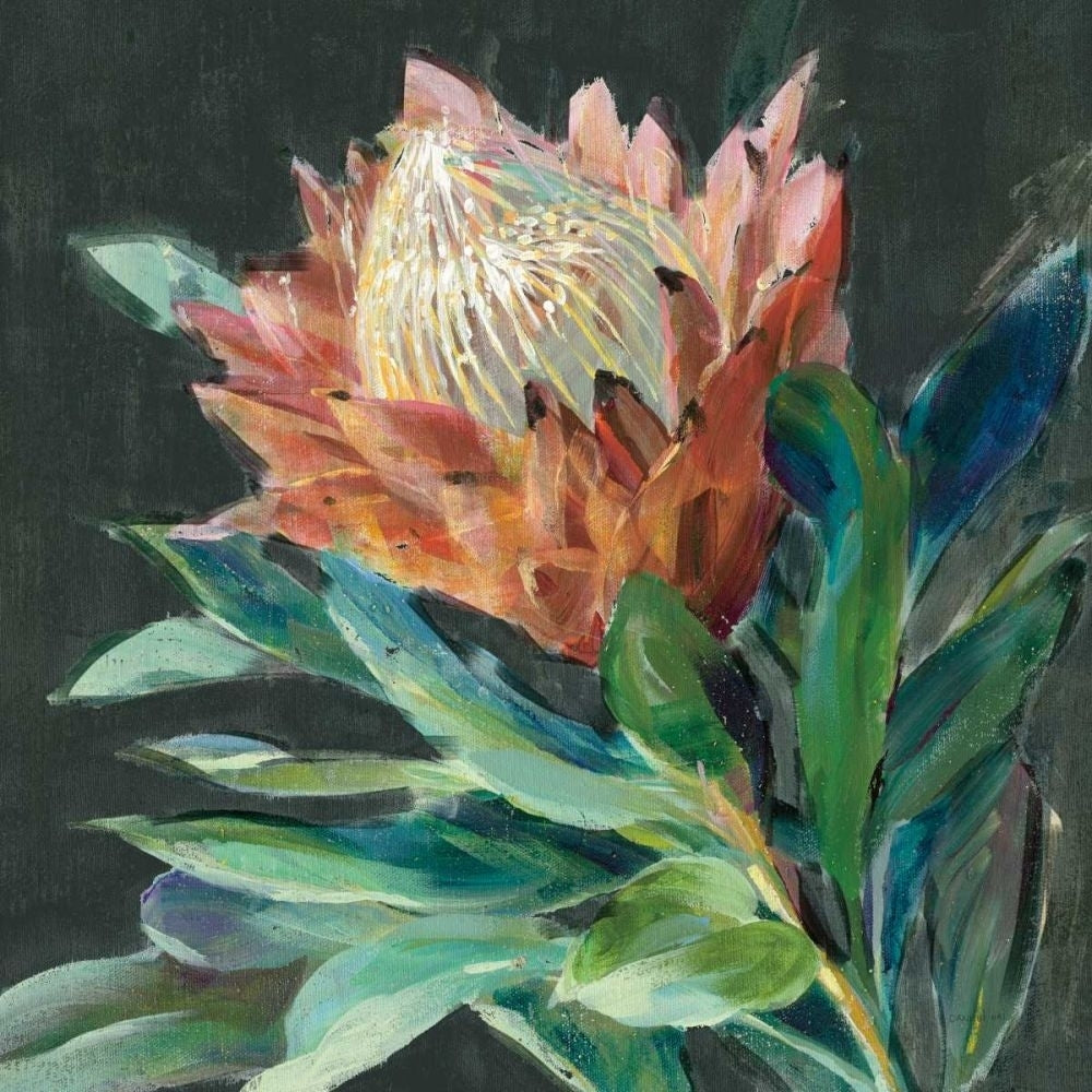 Deep Protea Crop by Danhui Nai-VARPDX66891 Image 1