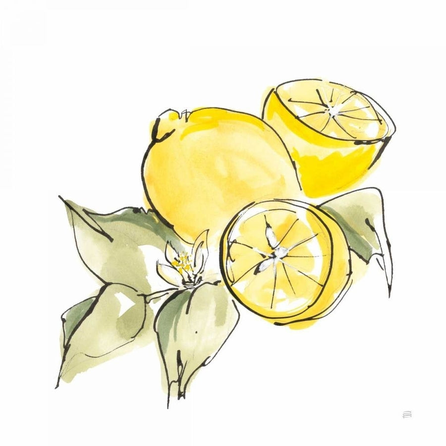 Lemon Still Life I by Chris Paschke-VARPDX66880 Image 1