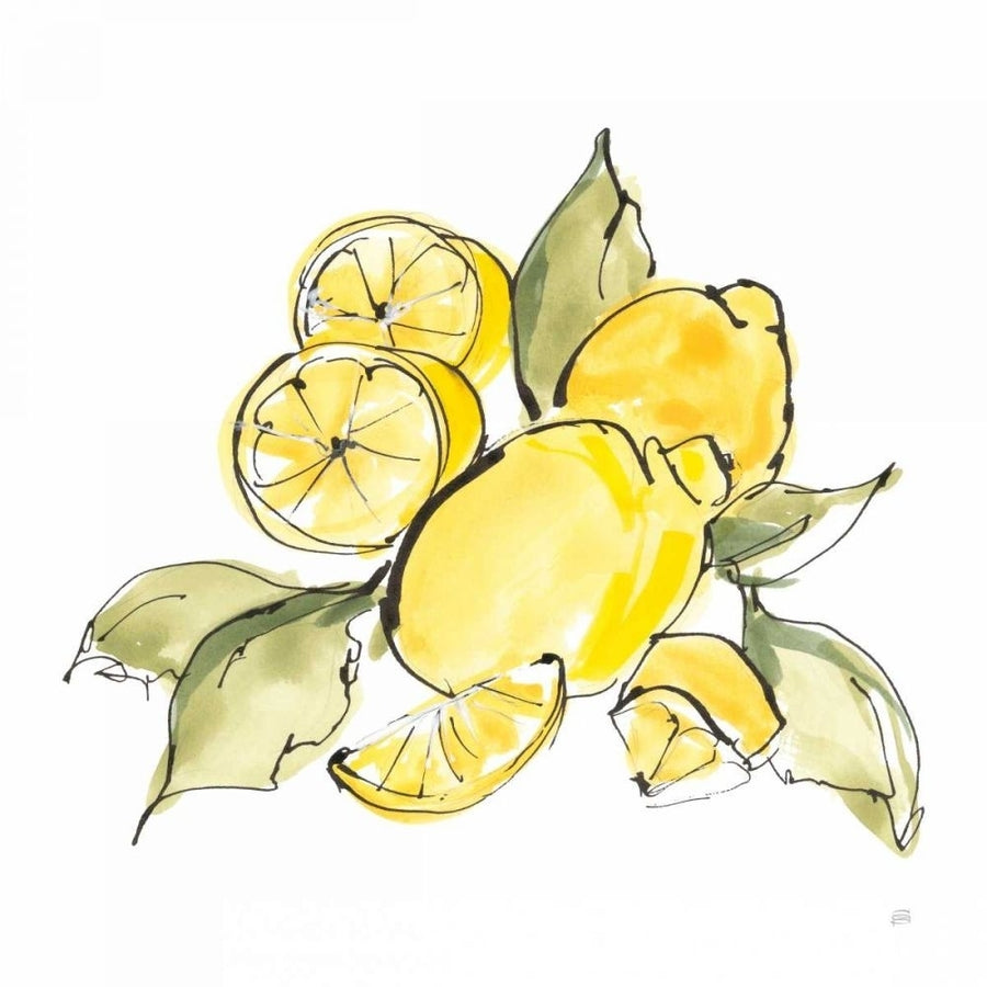 Lemon Still Life III by Chris Paschke-VARPDX66882 Image 1