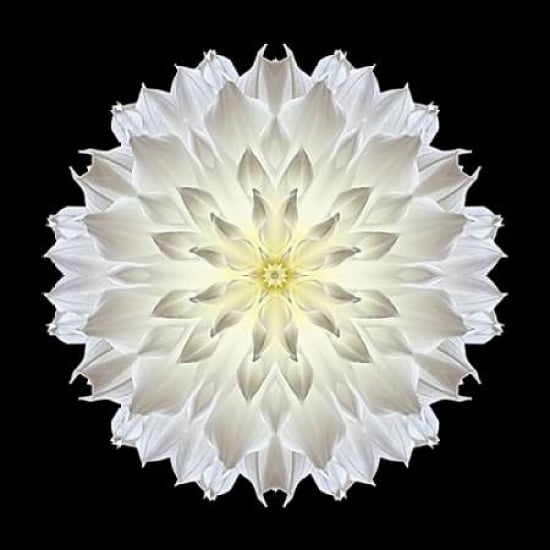 Kaleidoscope Dahlia Black Poster Print by David Bookbinder-VARPDX668BOO1000A Image 1