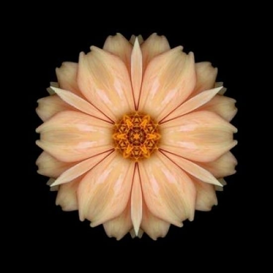 Kaleidoscope Peach Dahlia Poster Print by David Bookbinder-VARPDX668BOO1002 Image 2