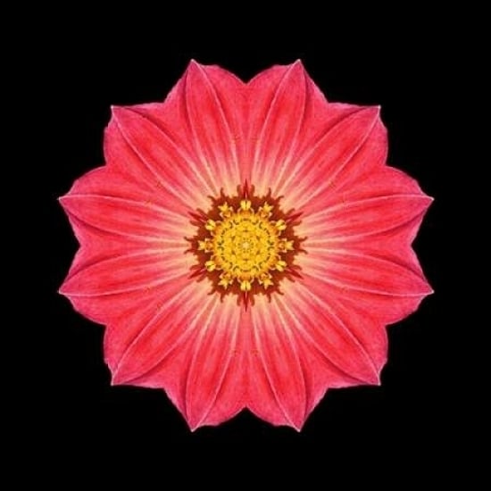 Kaleidoscope Red Daisy Poster Print by David Bookbinder-VARPDX668BOO1003 Image 1