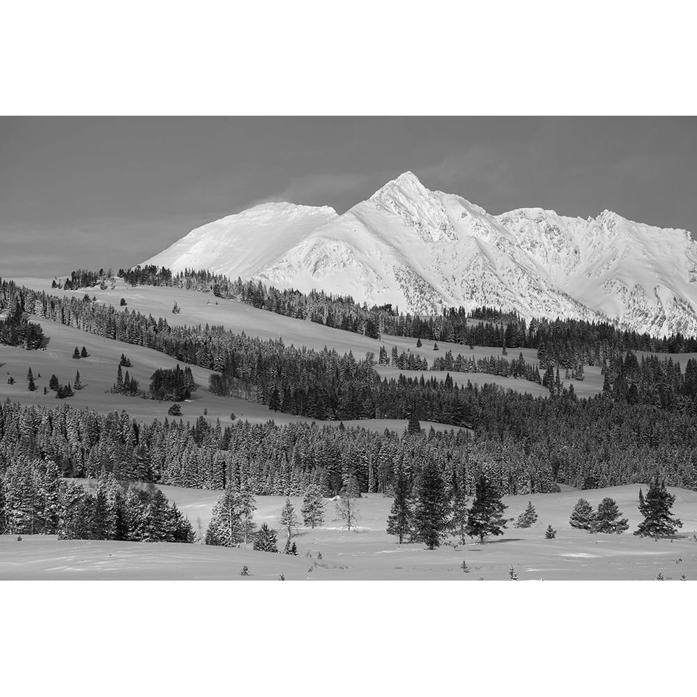 Winter Morning Electric Peak Yellowstone National Park Poster Print - The Yellowstone Collection-VARPDX66948 Image 1