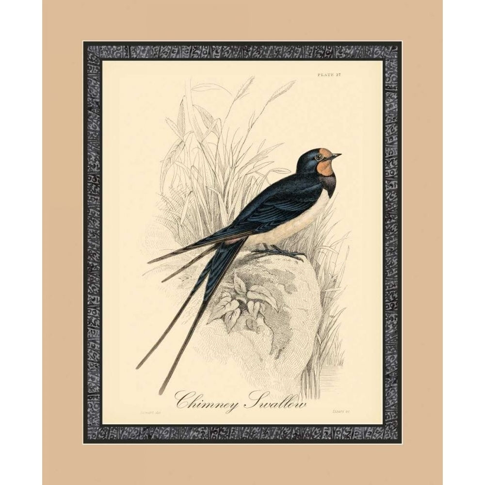 Printed Chimney Swallow Poster Print - Art Services Apogee-VARPDX66952P Image 1