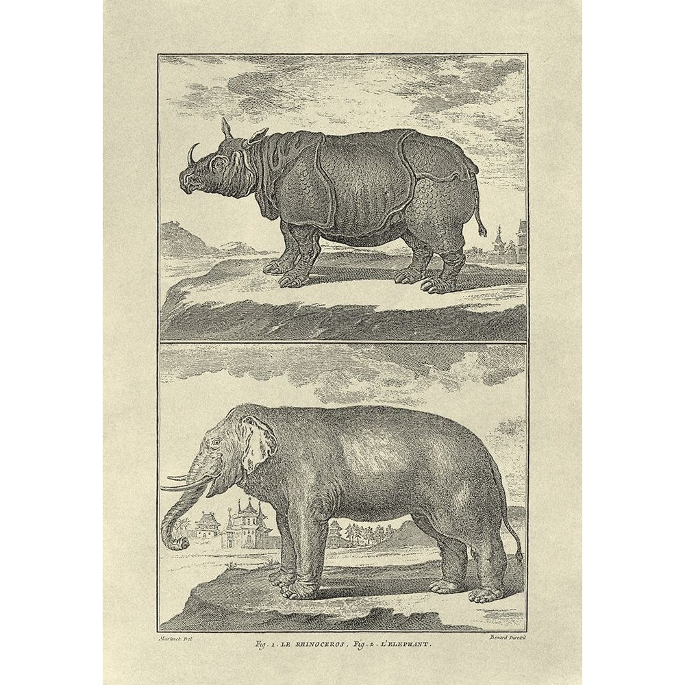 Elephant and Rhino Poster Print - Denis Diderot-VARPDX66982F Image 1