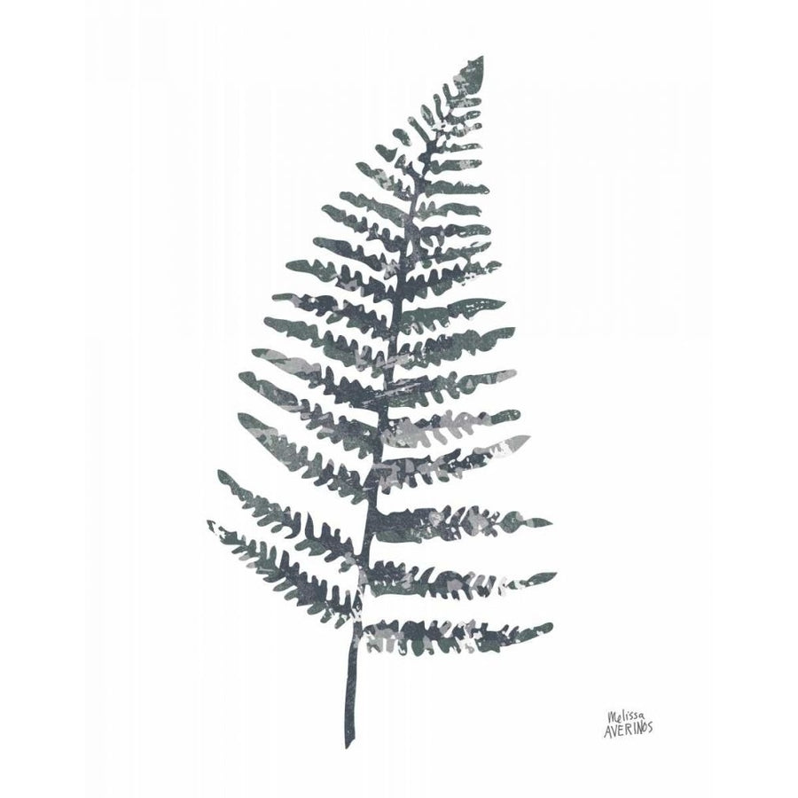 Fern I by Melissa Averinos-VARPDX67081 Image 1