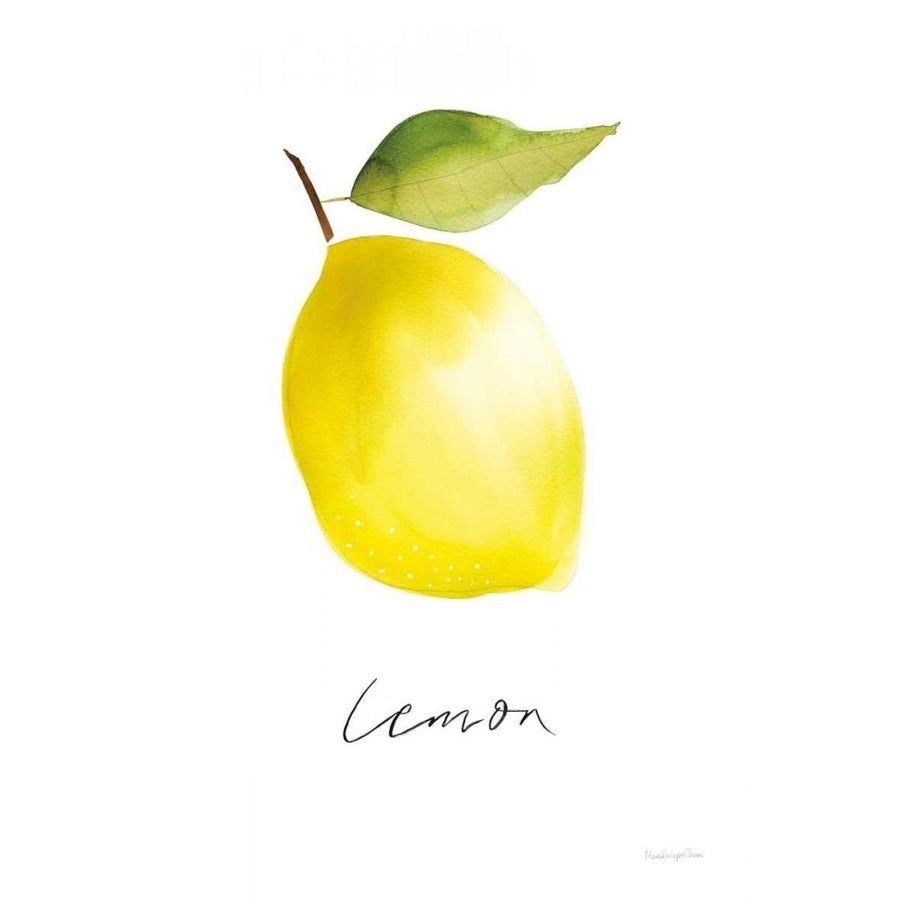 Single Lemon by Mercedes Lopez Charro-VARPDX67136 Image 1