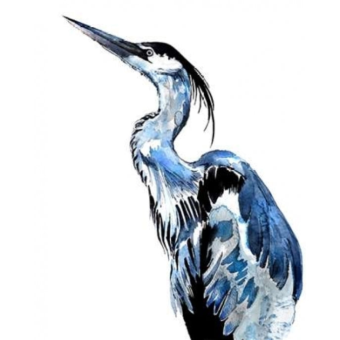 Coastal Blue Egret Poster Print by Crystal Smith-VARPDX671SMI1002 Image 1