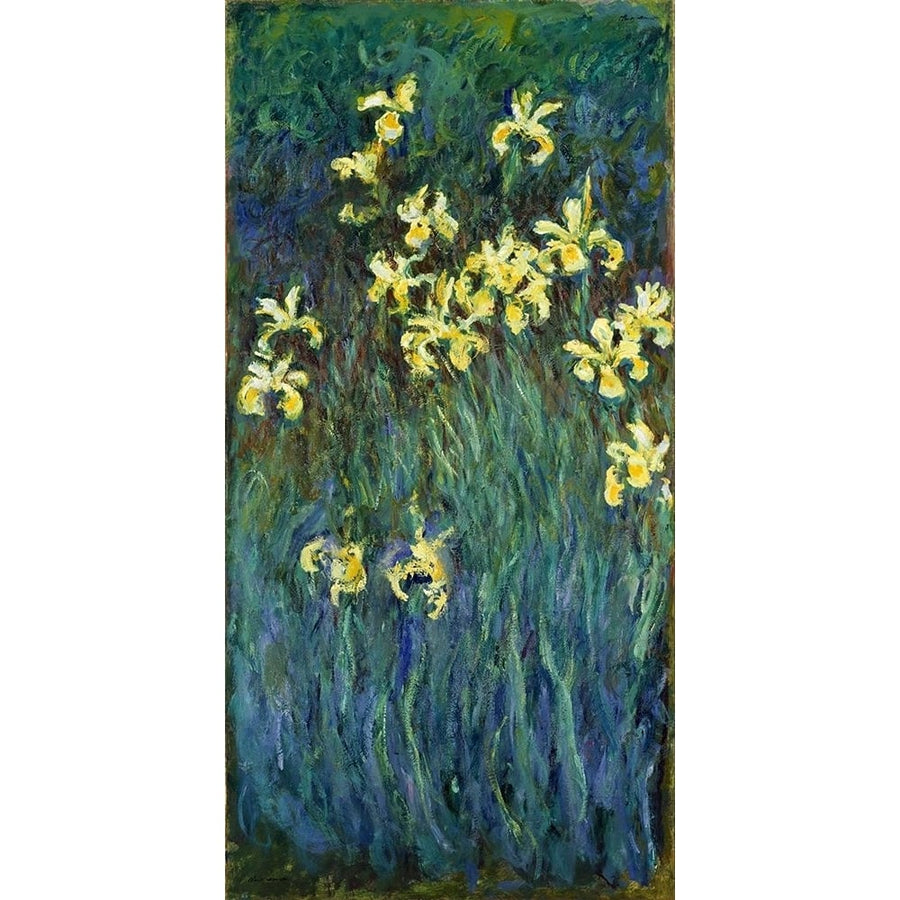 Yellow Irises 1914 Poster Print - Claude Monet-VARPDX67193 Image 1