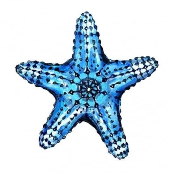 Sea Blue Starfish Poster Print by Crystal Smith-VARPDX671SMI1004 Image 2