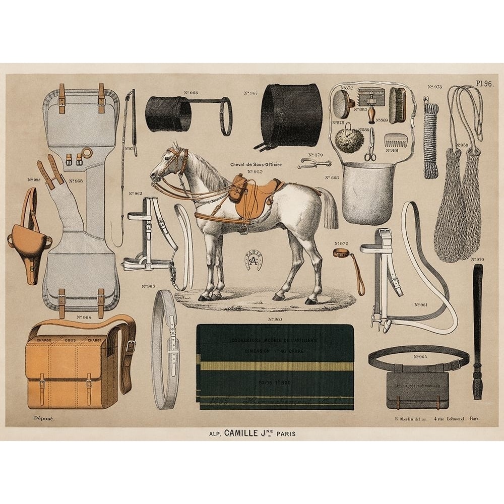 Horses with Antique Riding Equipment I Poster Print - Vintage Drawings-VARPDX67239 Image 1