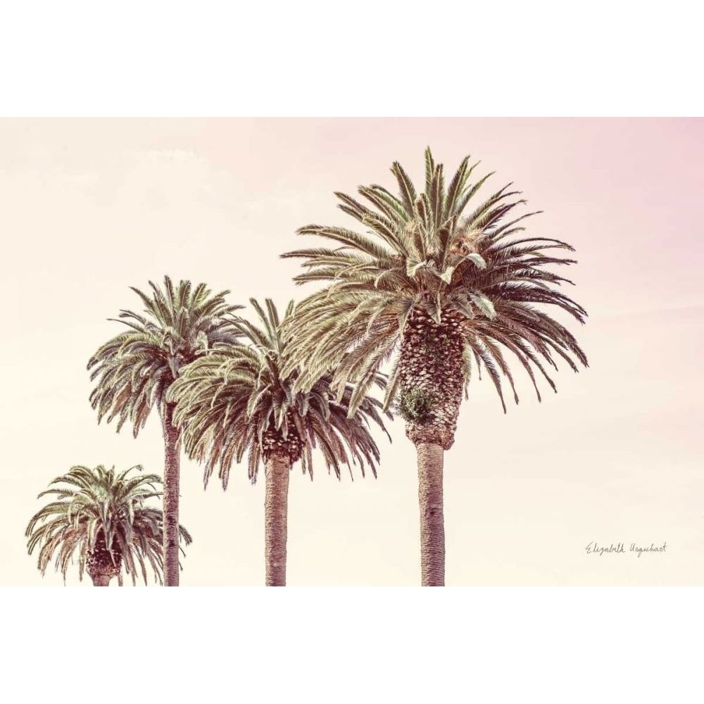 Pastel Palms by Elizabeth Urquhart-VARPDX67332 Image 1