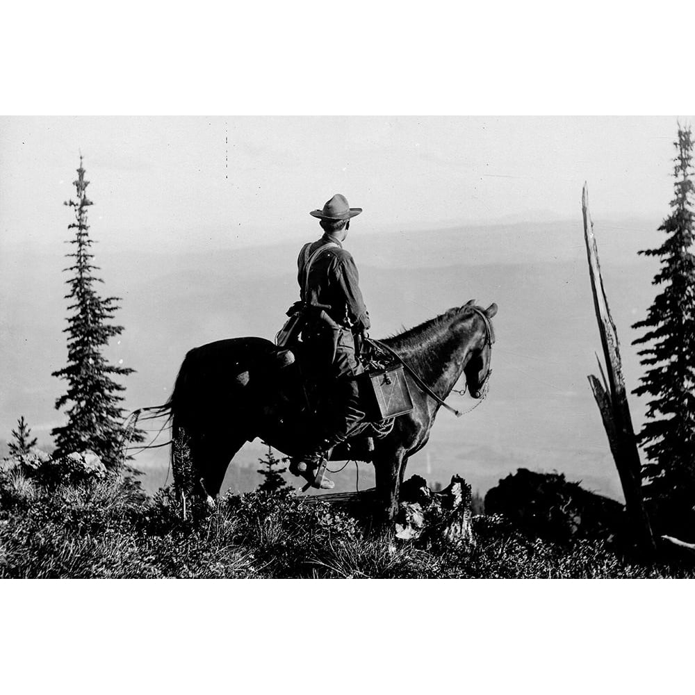 Back Country Poster Print - Vintage Photography-VARPDX67397 Image 1