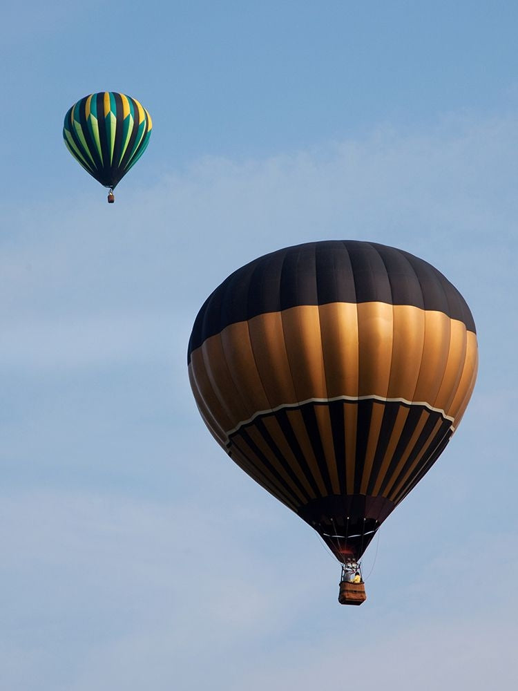 Decatur-Alabama Annual Hot Air Balloon Jubilee Festival Poster Print - Carol Highsmith-VARPDX67486 Image 1