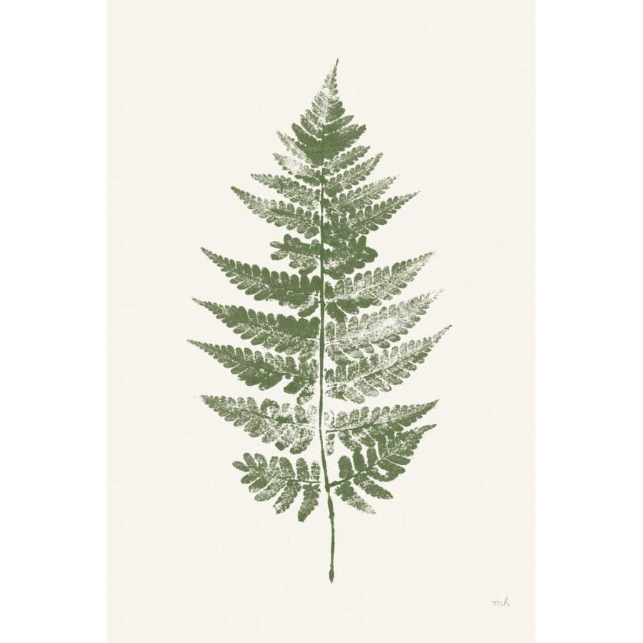 Fern Print I White Crop by Moira Hershey-VARPDX67461 Image 1