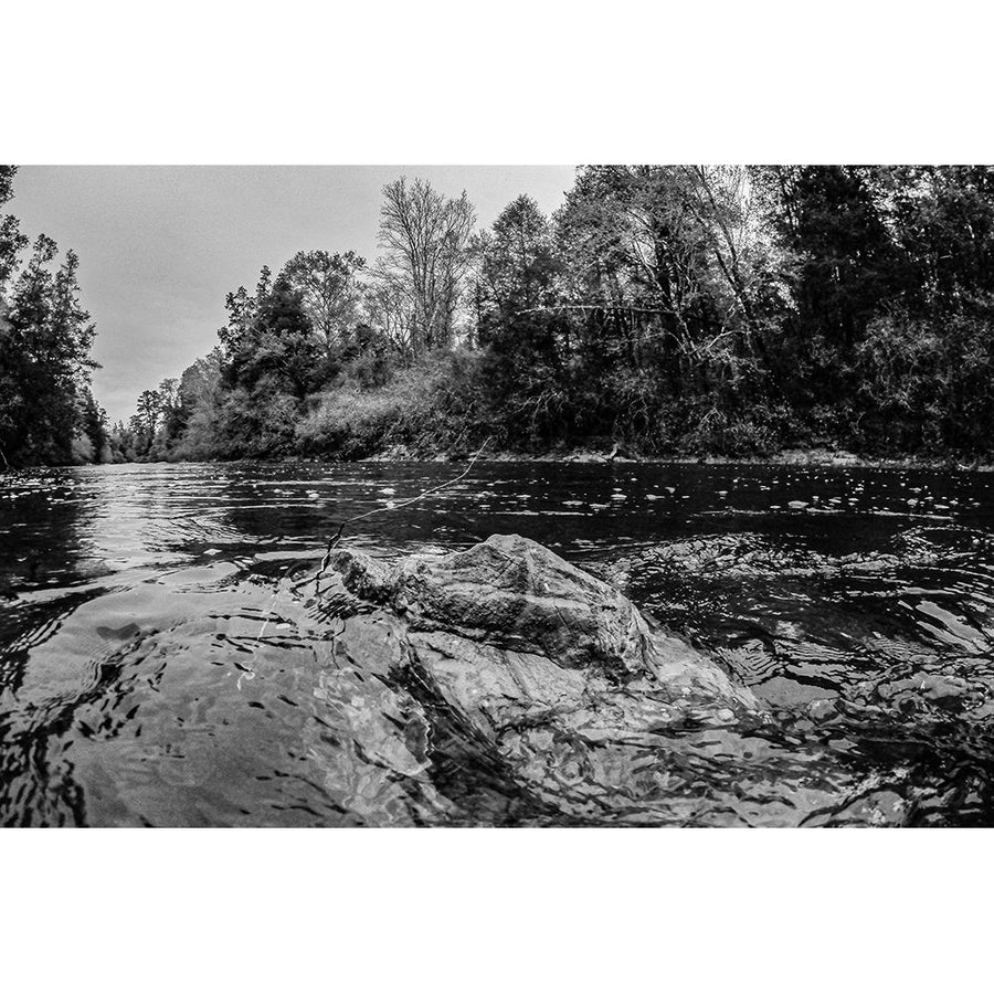 Big Escambia Creek in the Poarch Band of Creek Indians Poster Print - Alabama Picture Archive-VARPDX67483 Image 1