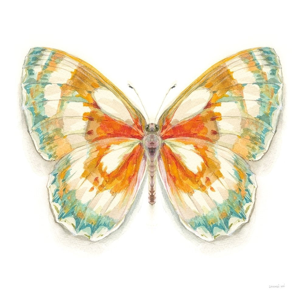 Fragile Wings Butterfly II Poster Print - Danhui Nai-VARPDX67492 Image 1