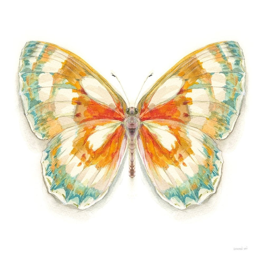 Fragile Wings Butterfly II Poster Print - Danhui Nai-VARPDX67492 Image 1