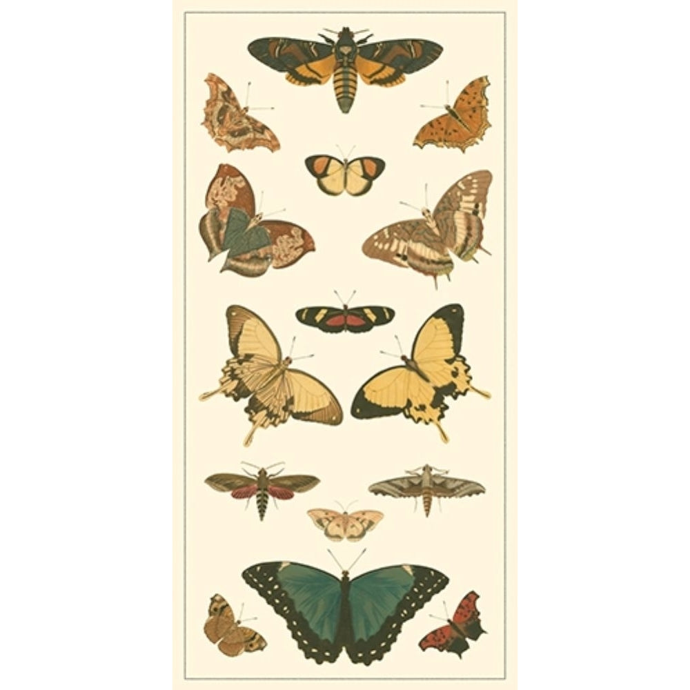 Cramer Butterfly Panel I Poster Print - Cramer Pieter-VARPDX67562Z Image 1