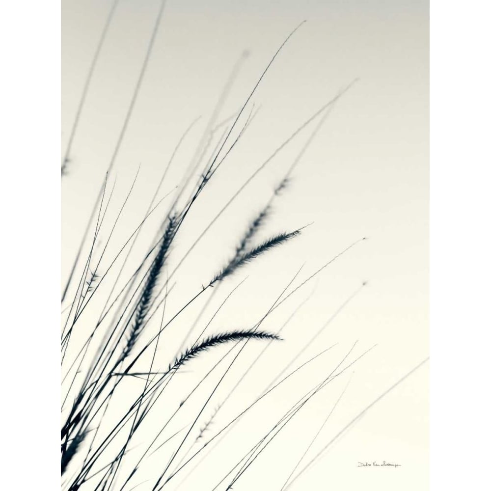 Field Grasses I by Debra Van Swearingen-VARPDX67625 Image 1