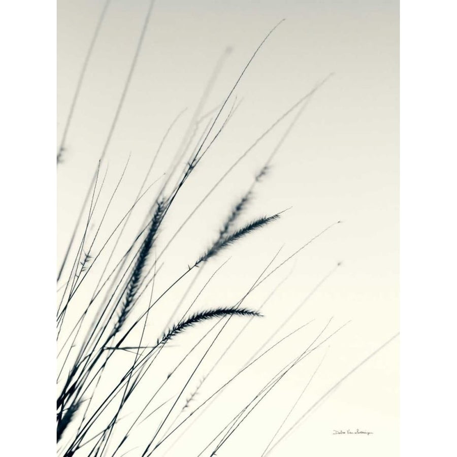 Field Grasses I by Debra Van Swearingen-VARPDX67625 Image 1