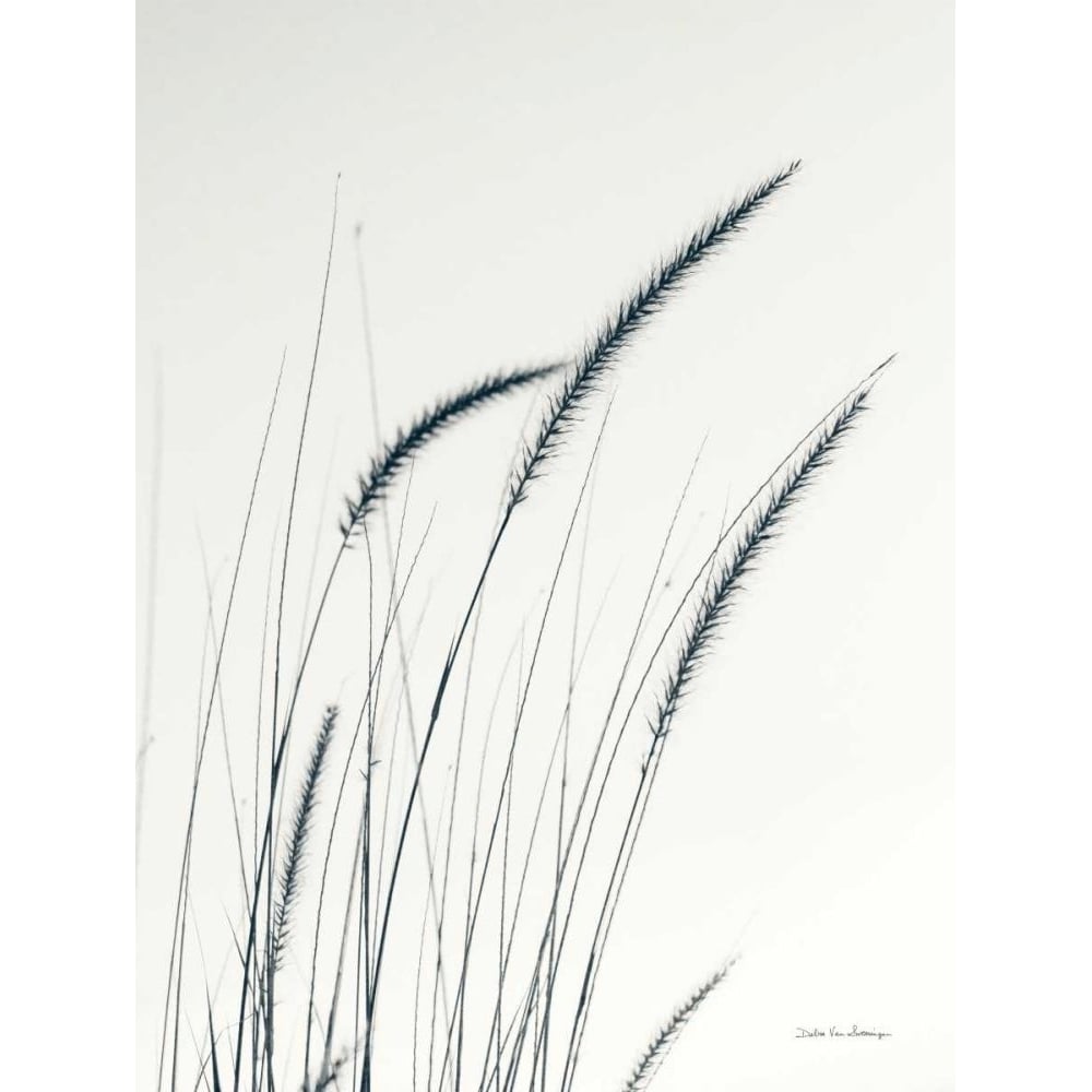 Field Grasses III by Debra Van Swearingen-VARPDX67627 Image 1