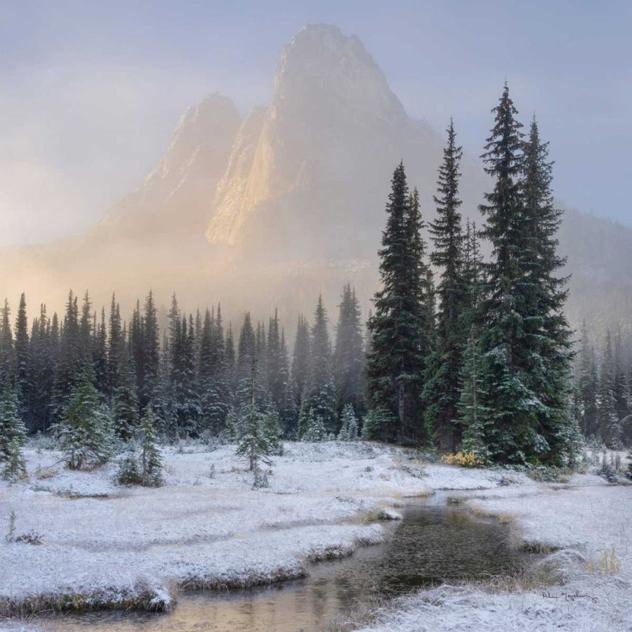 Bell Mountain North Cascades II by Alan Majchrowicz-VARPDX67696 Image 1