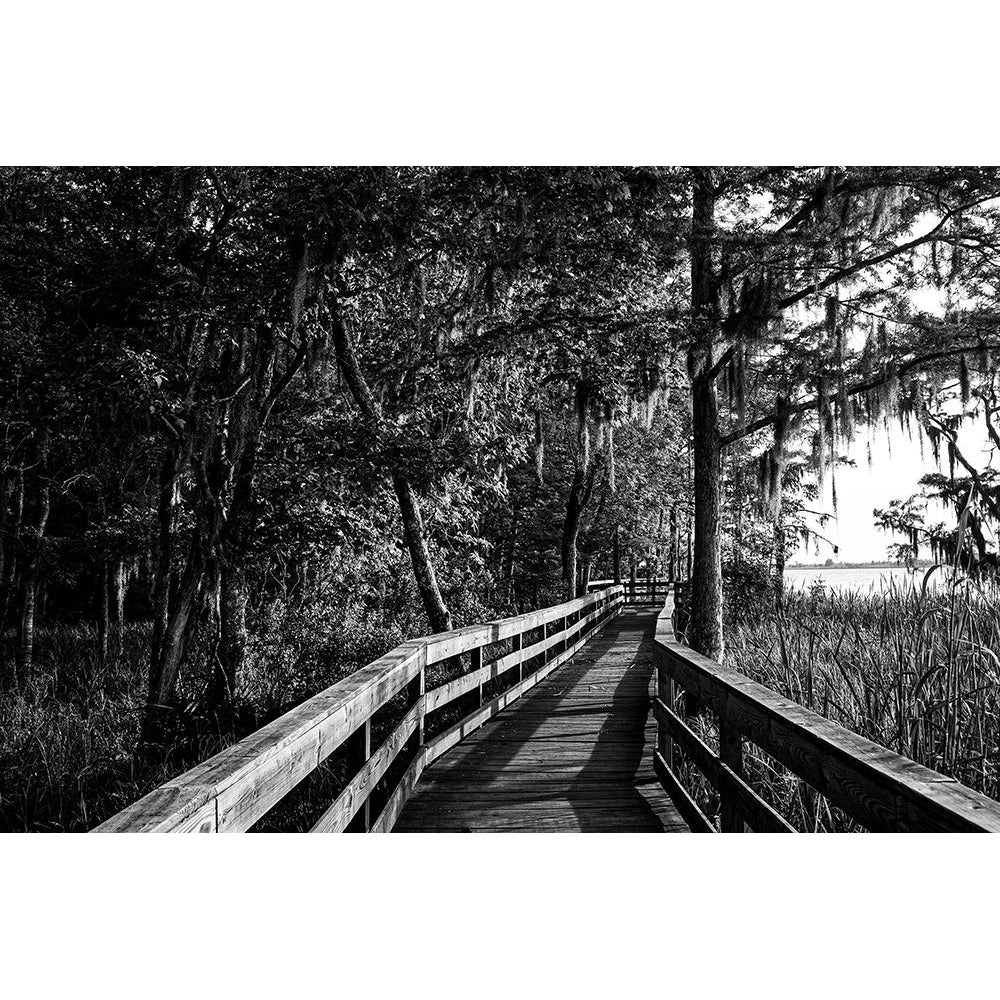 Historic Blakeley State Park on the Tensaw River Poster Print - Alabama Picture Archive-VARPDX67711 Image 1